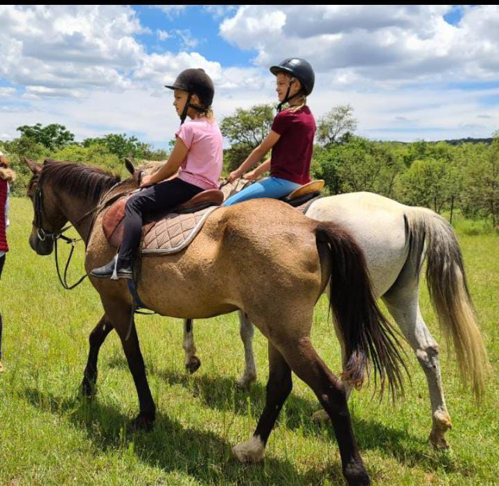 horse riding lessons for kids